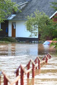 Flood Insurance Agency